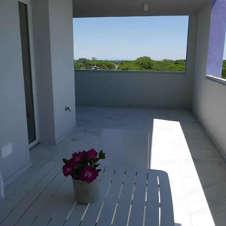 Apartamento In 42838